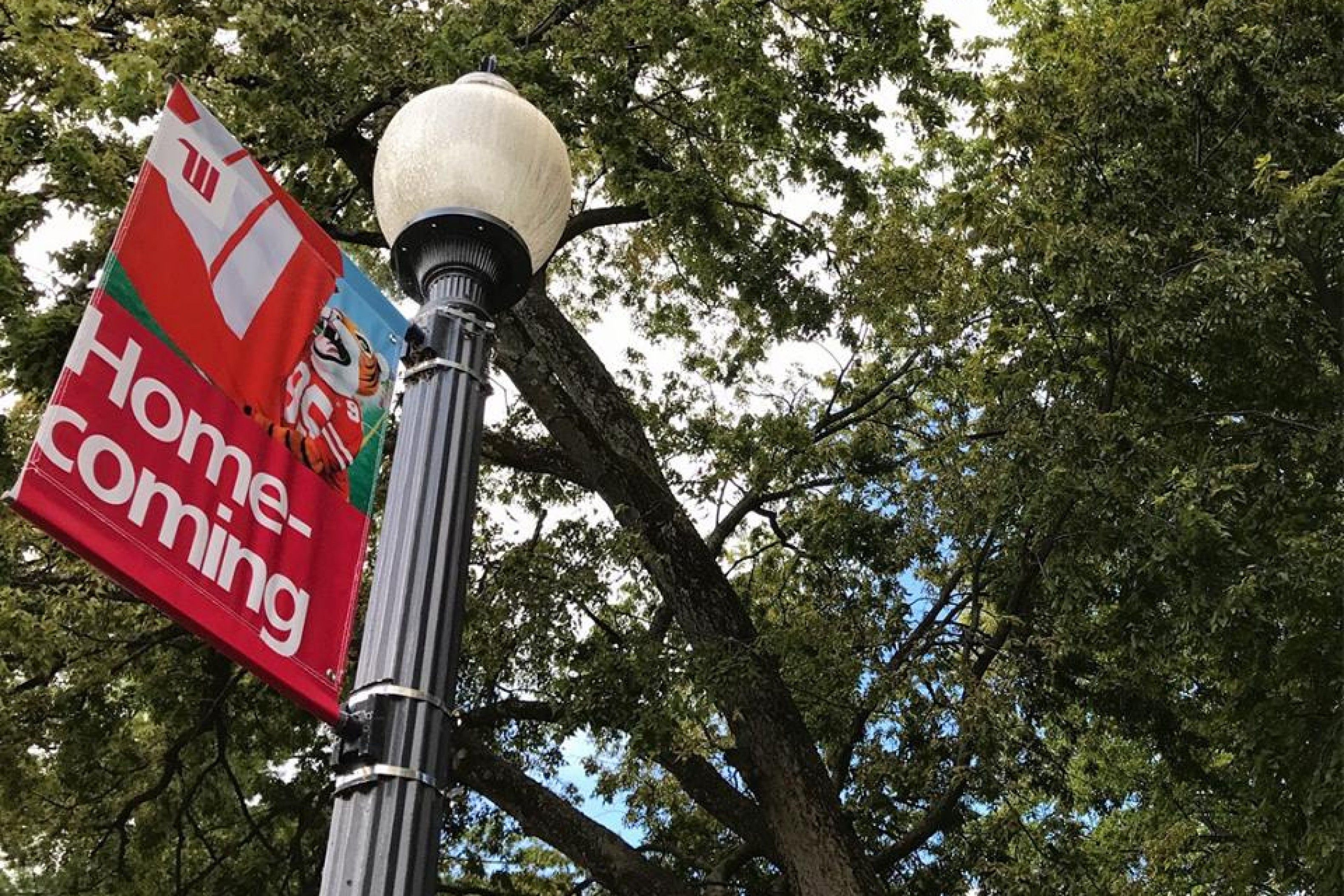 Alumni Achievement Wittenberg University